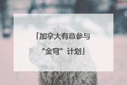 加拿大有意参与“金穹”计划