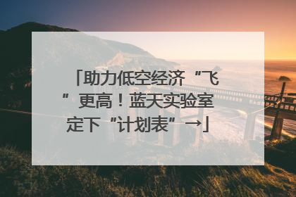 助力低空经济“飞”更高！蓝天实验室定下“计划表”→
