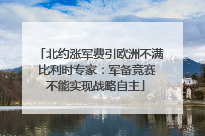 北约涨军费引欧洲不满 比利时专家：军备竞赛不能实现战略自主