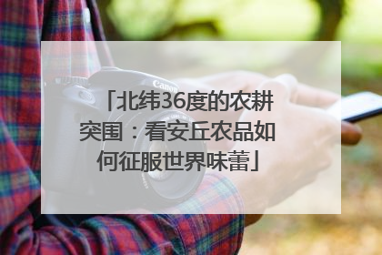 北纬36度的农耕突围：看安丘农品如何征服世界味蕾