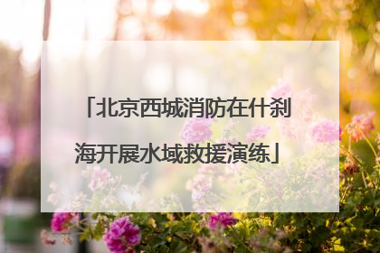 北京西城消防在什刹海开展水域救援演练