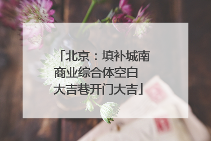 北京：填补城南商业综合体空白 大吉巷开门大吉