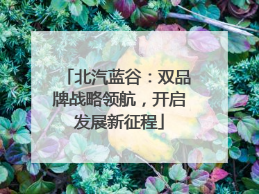 北汽蓝谷：双品牌战略领航，开启发展新征程