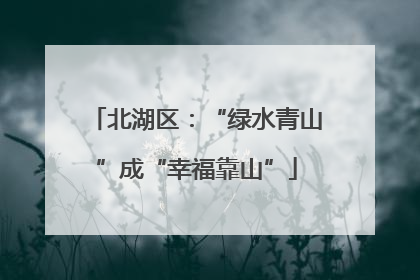 北湖区：“绿水青山”成“幸福靠山”