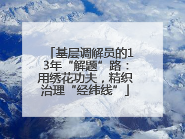 基层调解员的13年“解题”路：用绣花功夫，精织治理“经纬线”
