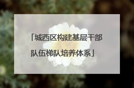 城西区构建基层干部队伍梯队培养体系