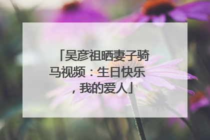 吴彦祖晒妻子骑马视频：生日快乐，我的爱人