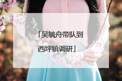 吴毓舟带队到西坪镇调研