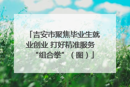 吉安市聚焦毕业生就业创业 打好精准服务“组合拳”（图）