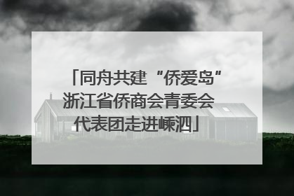同舟共建“侨爱岛” 浙江省侨商会青委会代表团走进嵊泗