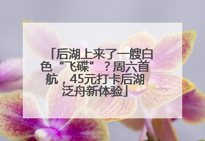 后湖上来了一艘白色“飞碟”？周六首航，45元打卡后湖泛舟新体验