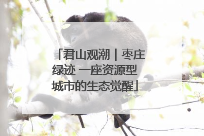 君山观潮｜枣庄绿迹 一座资源型城市的生态觉醒