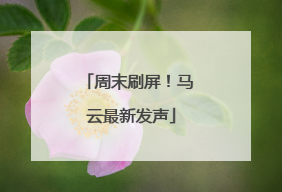 周末刷屏！马云最新发声