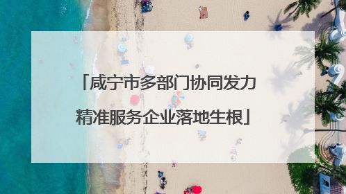 咸宁市多部门协同发力 精准服务企业落地生根