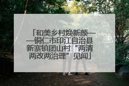 和美乡村焕新颜——铜仁市印江自治县新寨镇团山村“两清两改两治理”见闻