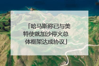 哈马斯称已与美特使就加沙停火总体框架达成协议