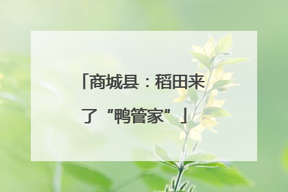 商城县：稻田来了“鸭管家”