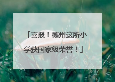 喜报！德州这所小学获国家级荣誉！