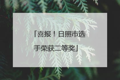 喜报！日照市选手荣获二等奖