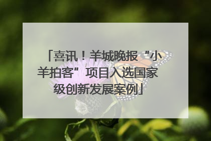 喜讯！羊城晚报“小羊拍客”项目入选国家级创新发展案例