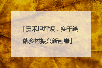 嘉禾坦坪镇：实干绘就乡村振兴新画卷