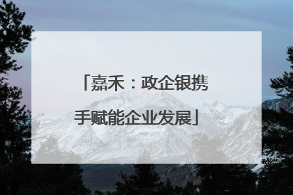 嘉禾：政企银携手赋能企业发展