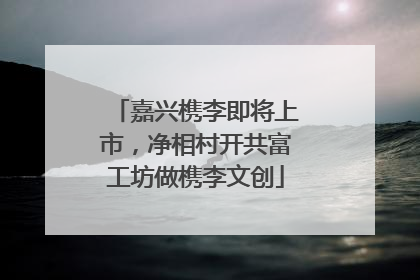 嘉兴槜李即将上市，净相村开共富工坊做槜李文创