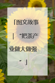 图文故事｜“把茶产业做大做强”