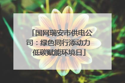 国网瑞安市供电公司：绿色同行添动力 低碳赋能环境日