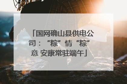 国网确山县供电公司：“粽”情“粽”意 安康常驻端午
