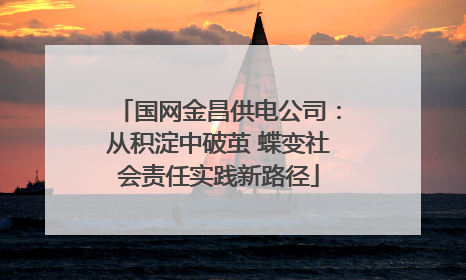 国网金昌供电公司：从积淀中破茧 蝶变社会责任实践新路径