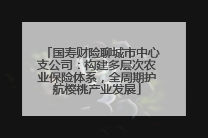 国寿财险聊城市中心支公司：构建多层次农业保险体系，全周期护航樱桃产业发展
