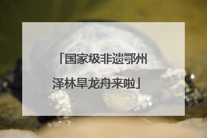 国家级非遗鄂州泽林旱龙舟来啦