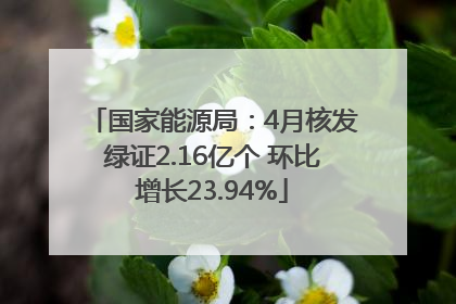 国家能源局：4月核发绿证2.16亿个 环比增长23.94%
