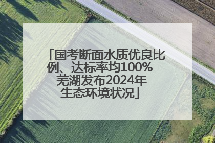国考断面水质优良比例、达标率均100% 芜湖发布2024年生态环境状况
