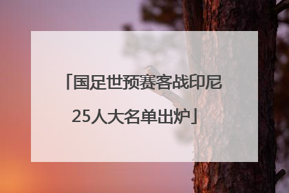 国足世预赛客战印尼25人大名单出炉