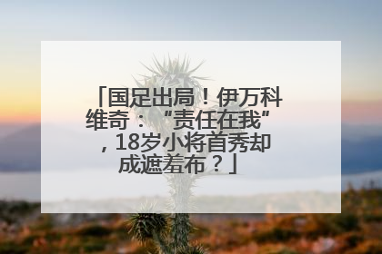 国足出局！伊万科维奇：“责任在我”，18岁小将首秀却成遮羞布？