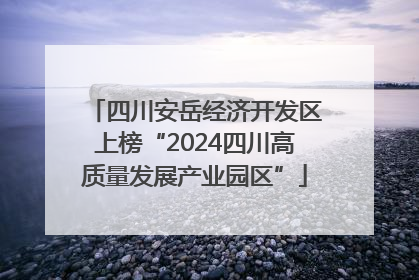 四川安岳经济开发区上榜“2024四川高质量发展产业园区”