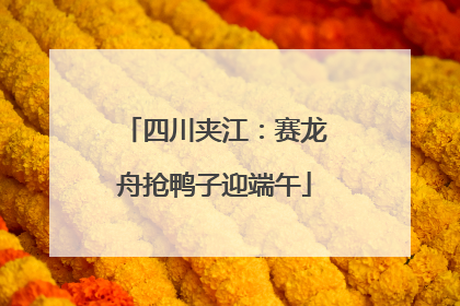 四川夹江：赛龙舟抢鸭子迎端午