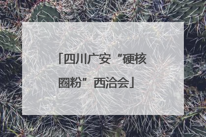 四川广安“硬核圈粉”西洽会