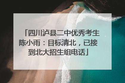 四川泸县二中优秀考生陈小雨：目标清北，已接到北大招生组电话
