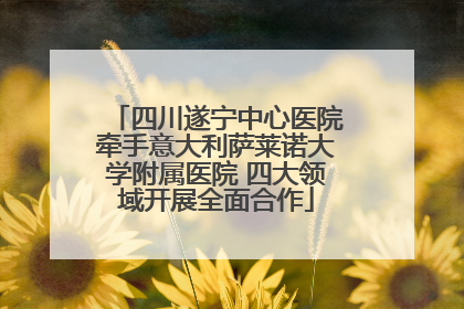 四川遂宁中心医院牵手意大利萨莱诺大学附属医院 四大领域开展全面合作