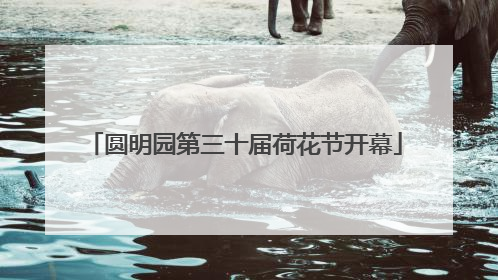 圆明园第三十届荷花节开幕