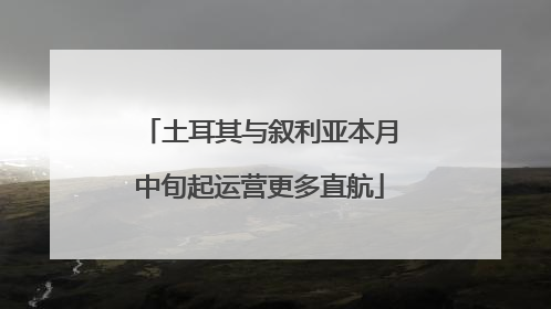 土耳其与叙利亚本月中旬起运营更多直航