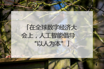 在全球数字经济大会上，人工智能倡导“以人为本”