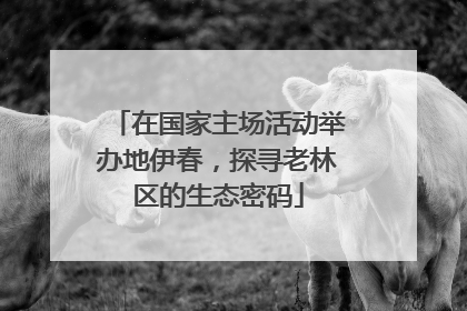 在国家主场活动举办地伊春，探寻老林区的生态密码