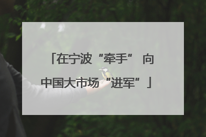 在宁波“牵手” 向中国大市场“进军”