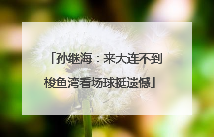 孙继海：来大连不到梭鱼湾看场球挺遗憾