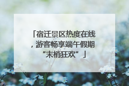 宿迁景区热度在线，游客畅享端午假期“末梢狂欢”