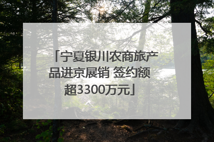 宁夏银川农商旅产品进京展销 签约额超3300万元